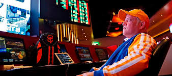 Вход на официальный сайт Casino Rox